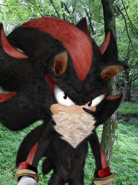 shadow the hedgehog in real life